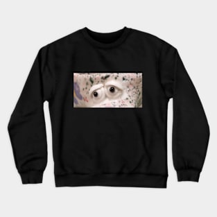 Saul Crewneck Sweatshirt